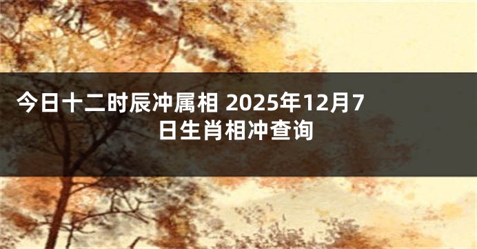 今日十二时辰冲属相 2025年12月7日生肖相冲查询