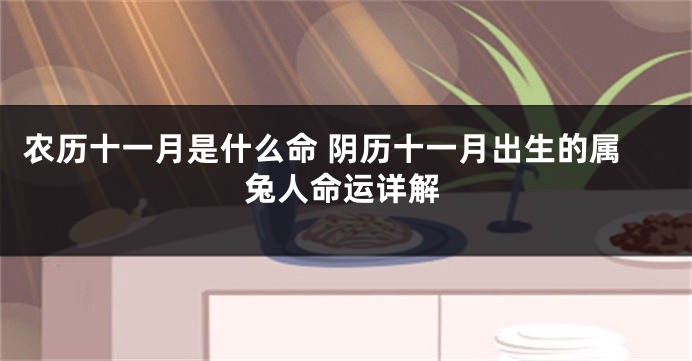 农历十一月是什么命 阴历十一月出生的属兔人命运详解