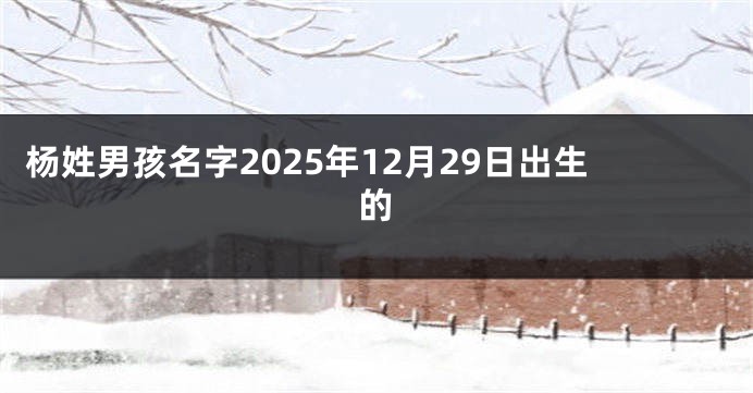 杨姓男孩名字2025年12月29日出生的