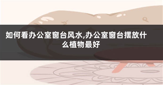 如何看办公室窗台风水,办公室窗台摆放什么植物最好