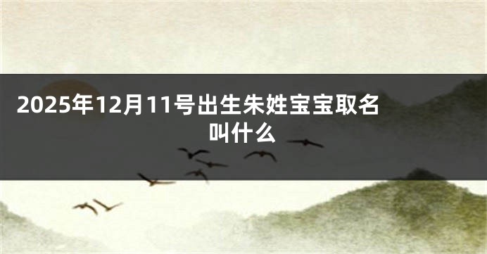 2025年12月11号出生朱姓宝宝取名叫什么