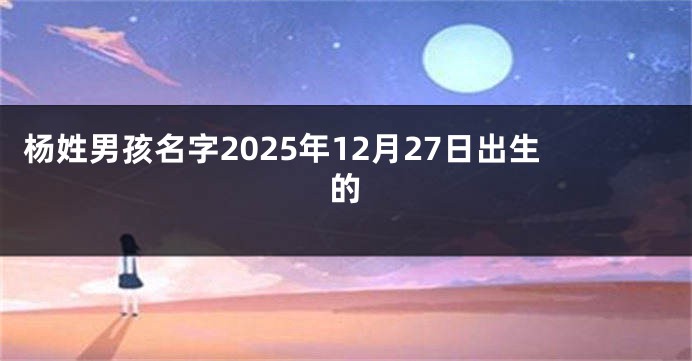 杨姓男孩名字2025年12月27日出生的