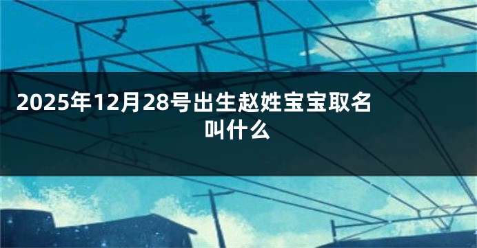 2025年12月28号出生赵姓宝宝取名叫什么