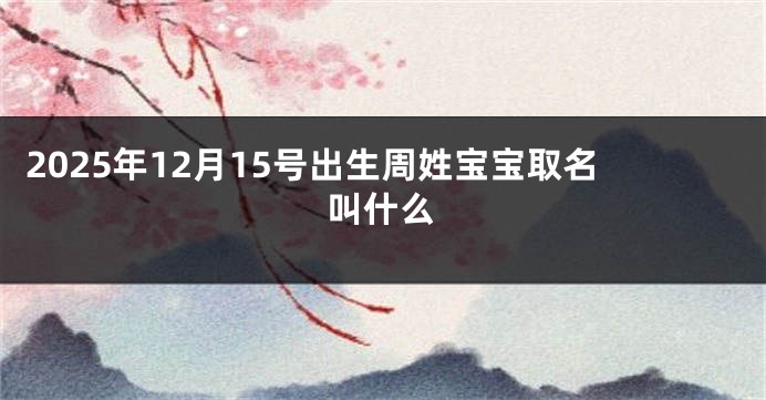 2025年12月15号出生周姓宝宝取名叫什么
