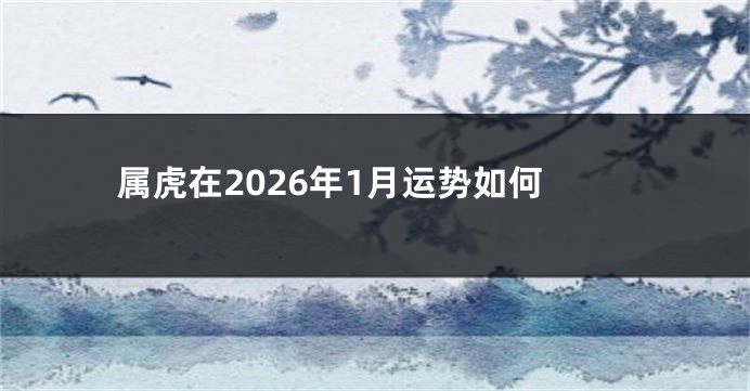 属虎在2026年1月运势如何