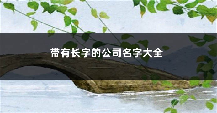 带有长字的公司名字大全