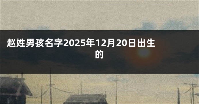 赵姓男孩名字2025年12月20日出生的