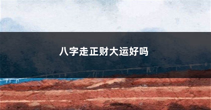 八字走正财大运好吗