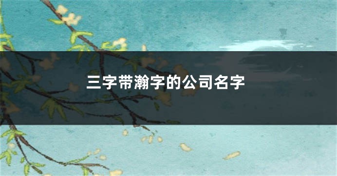 三字带瀚字的公司名字