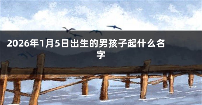 2026年1月5日出生的男孩子起什么名字