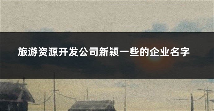旅游资源开发公司新颖一些的企业名字