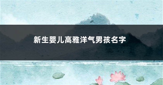 新生婴儿高雅洋气男孩名字