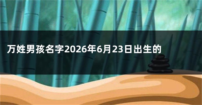 万姓男孩名字2026年6月23日出生的