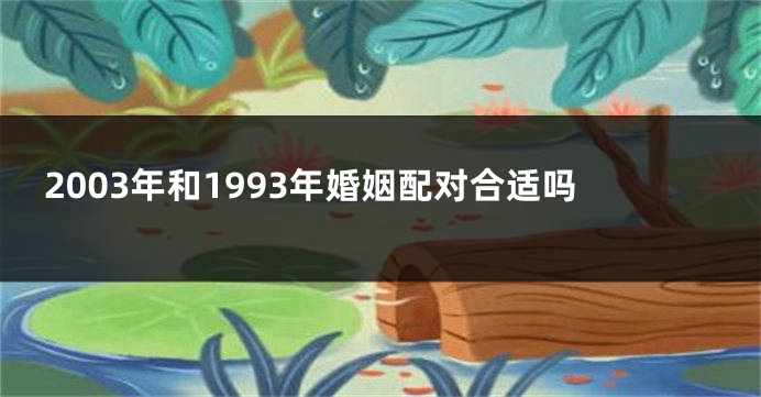2003年和1993年婚姻配对合适吗