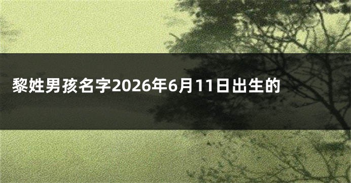 黎姓男孩名字2026年6月11日出生的