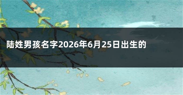 陆姓男孩名字2026年6月25日出生的