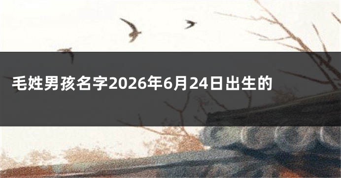 毛姓男孩名字2026年6月24日出生的