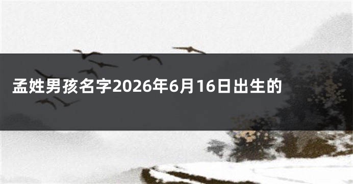 孟姓男孩名字2026年6月16日出生的