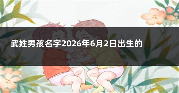 武姓男孩名字2026年6月2日出生的