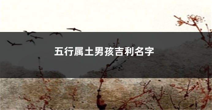 五行属土男孩吉利名字