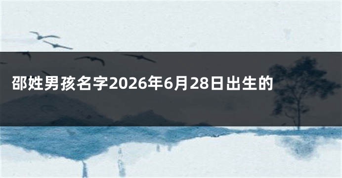 邵姓男孩名字2026年6月28日出生的