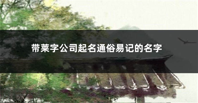 带莱字公司起名通俗易记的名字