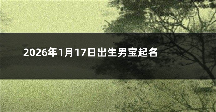 2026年1月17日出生男宝起名