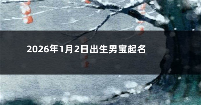 2026年1月2日出生男宝起名