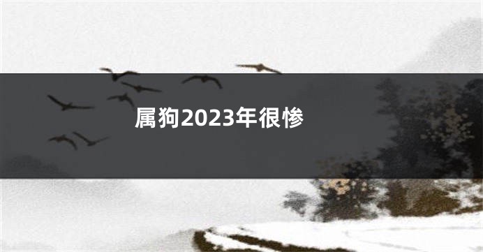 属狗2023年很惨