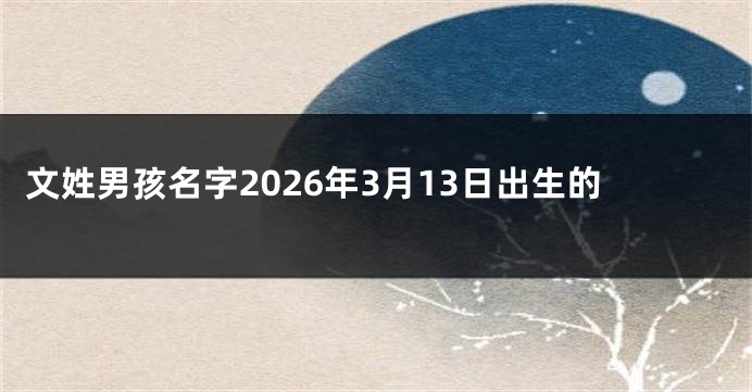 文姓男孩名字2026年3月13日出生的