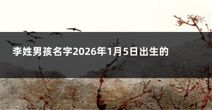 李姓男孩名字2026年1月5日出生的