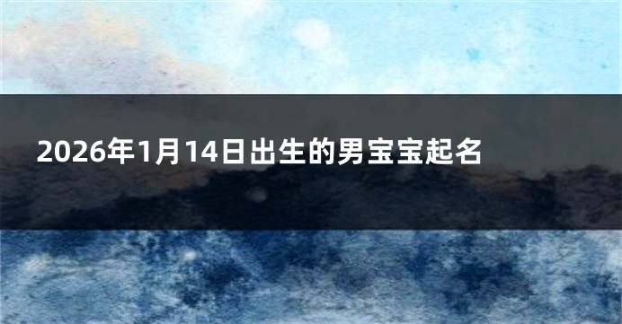 2026年1月14日出生的男宝宝起名