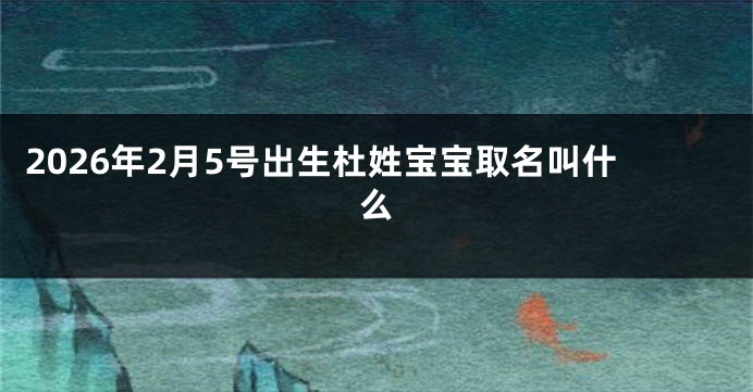 2026年2月5号出生杜姓宝宝取名叫什么