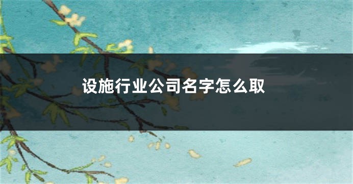 设施行业公司名字怎么取