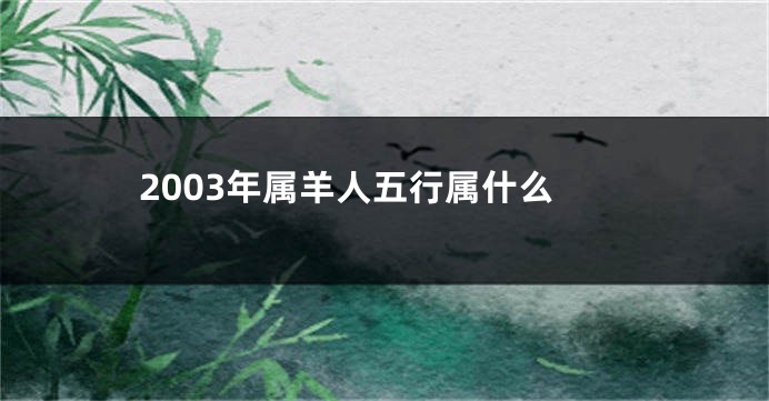 2003年属羊人五行属什么