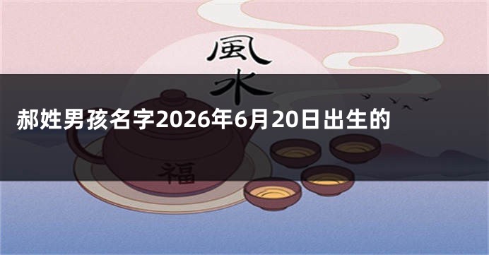 郝姓男孩名字2026年6月20日出生的