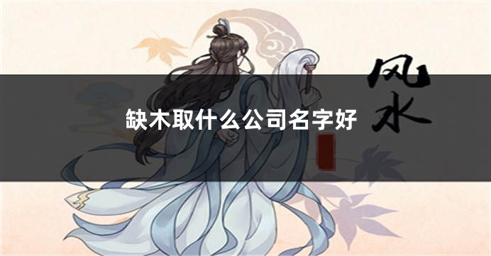 缺木取什么公司名字好