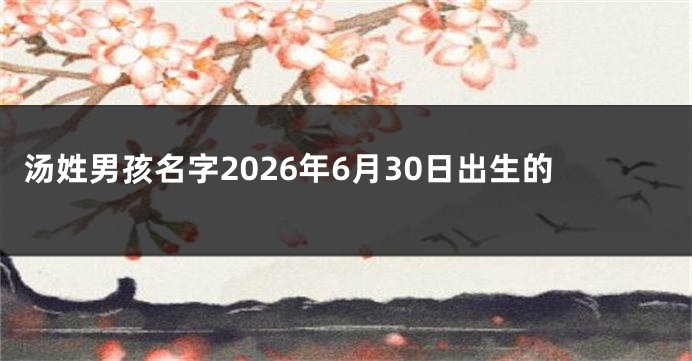 汤姓男孩名字2026年6月30日出生的