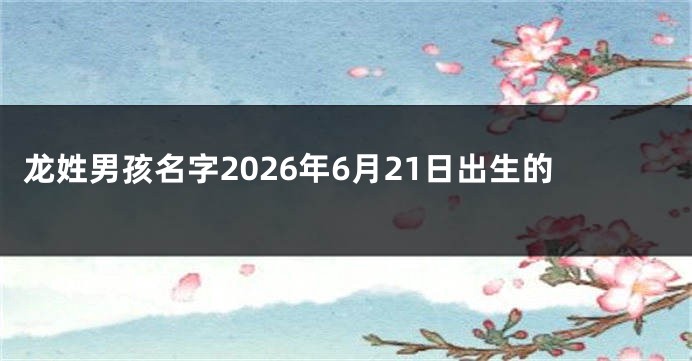 龙姓男孩名字2026年6月21日出生的