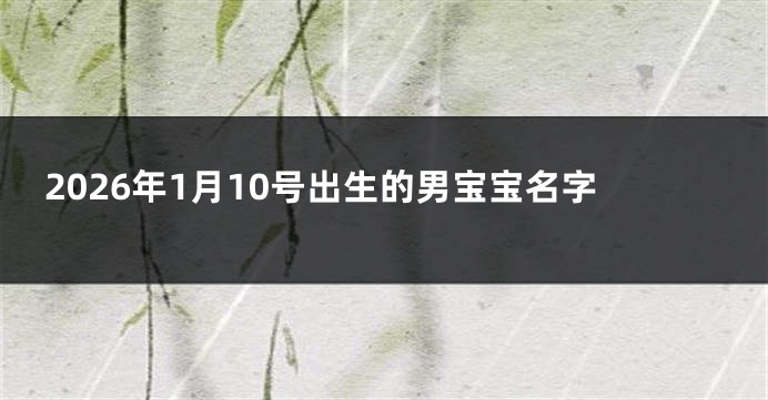2026年1月10号出生的男宝宝名字