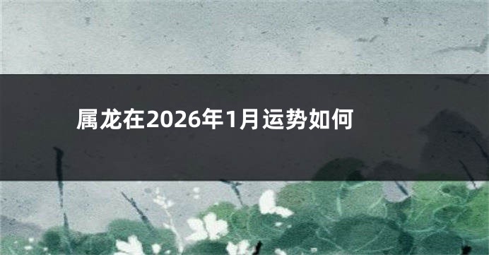 属龙在2026年1月运势如何