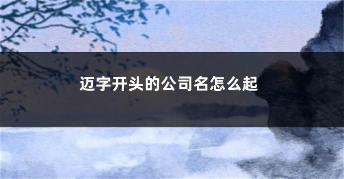 迈字开头的公司名怎么起