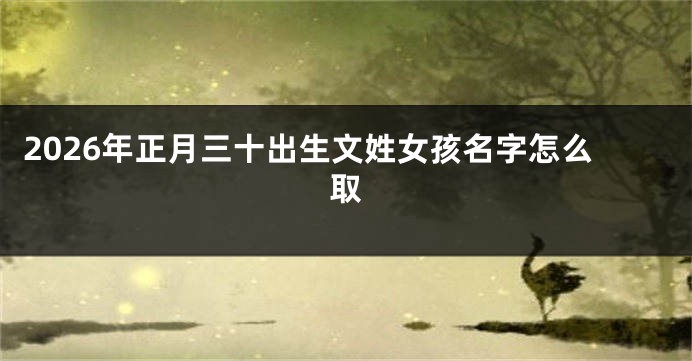 2026年正月三十出生文姓女孩名字怎么取