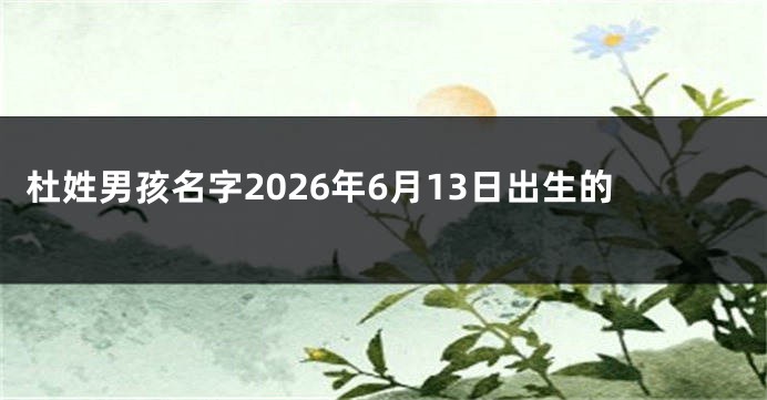 杜姓男孩名字2026年6月13日出生的