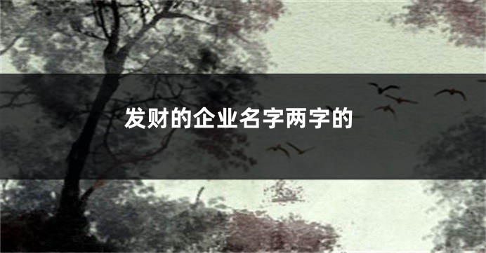 发财的企业名字两字的