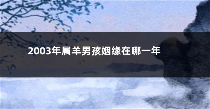 2003年属羊男孩姻缘在哪一年