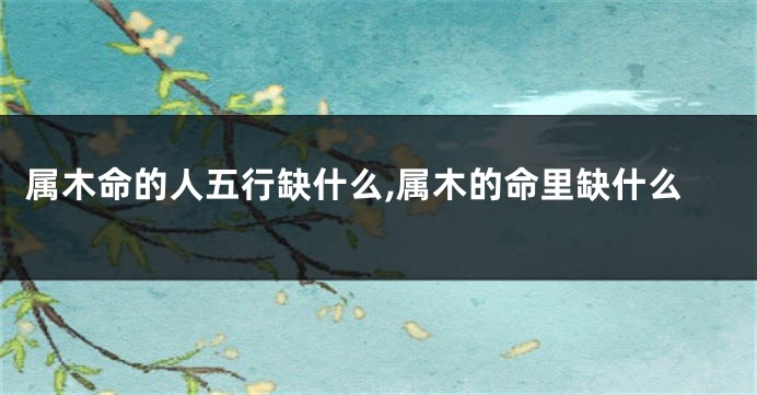 属木命的人五行缺什么,属木的命里缺什么