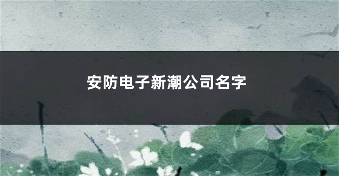 安防电子新潮公司名字