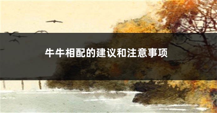 牛牛相配的建议和注意事项