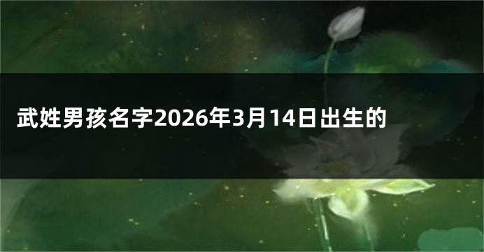武姓男孩名字2026年3月14日出生的